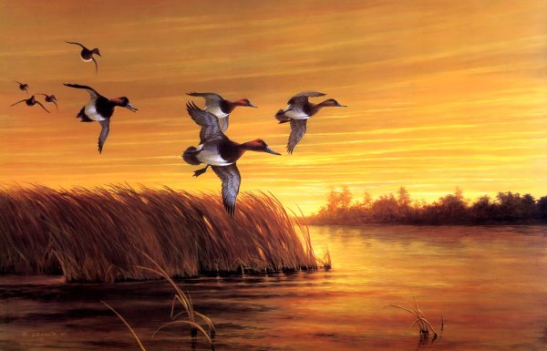 Гусей крикливых Караван