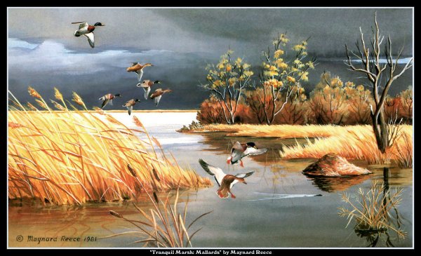 Птицы улетающие на Юг осенью картины