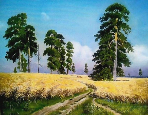 Картина Шишкина Золотая рожь