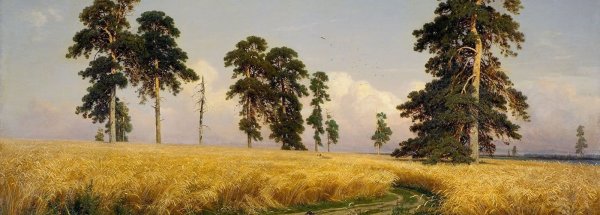 Шишкин художник рожь