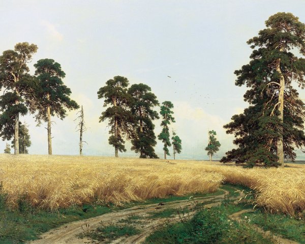Картина Шишкина рожь