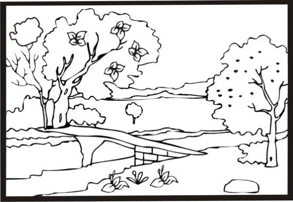 В лесу. Раскраска