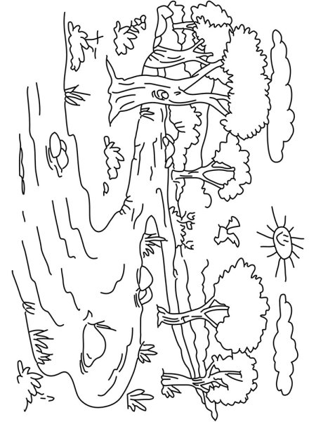 Летний пейзаж раскраска