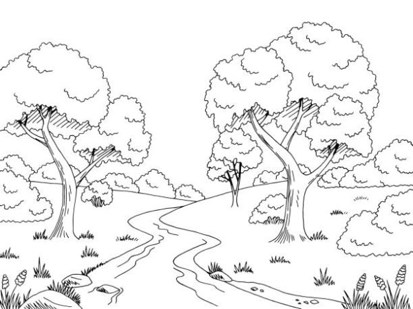 Раскраска природа