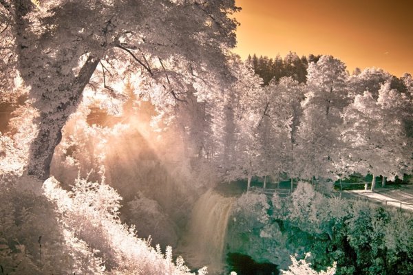 Природа красивая необычная