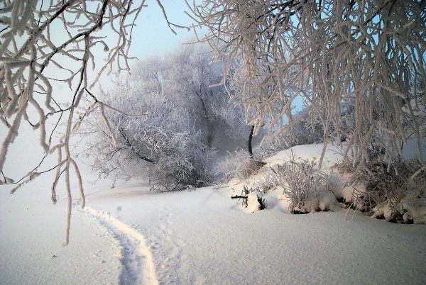 Тропинка в сугробе