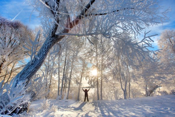 Зима картинки анимация