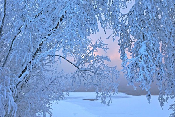 Роберт Дункан (Robert Duncan)