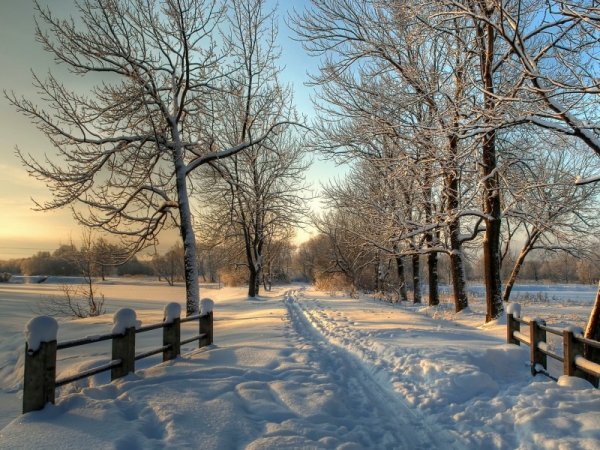 Художник Дмитрий Левин "зимний деревенский пейзаж ".