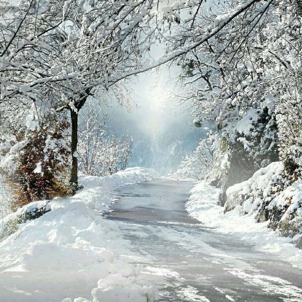 Зима картинки