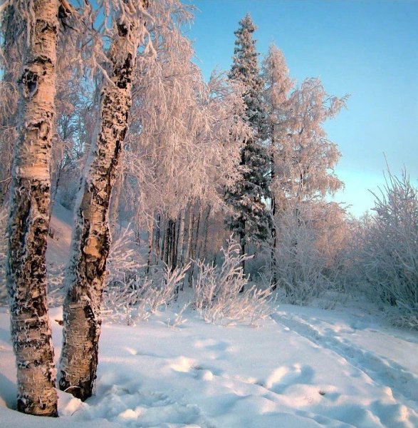 Дорофеев Сергей художник пейзажи