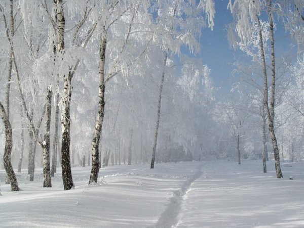 Морозный пейзаж