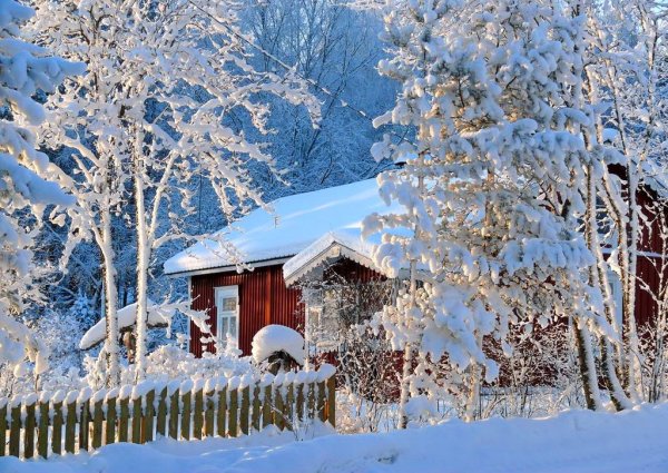 Поздняя дождливая осень