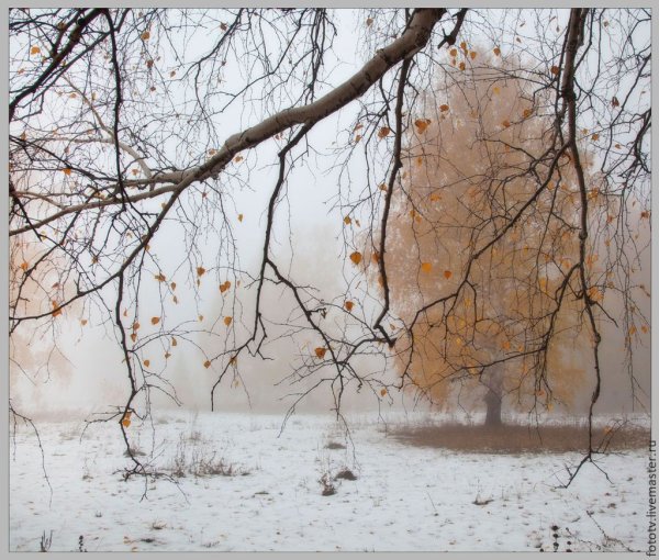 Михаил Сажаев художник