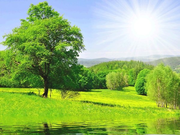 Поляна днем