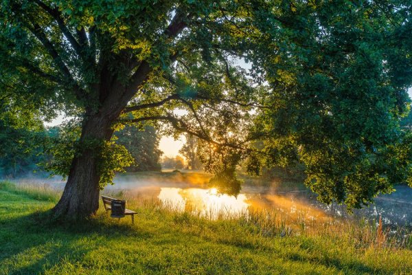 Летний пейзаж