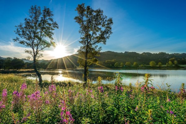 Летний пейзаж