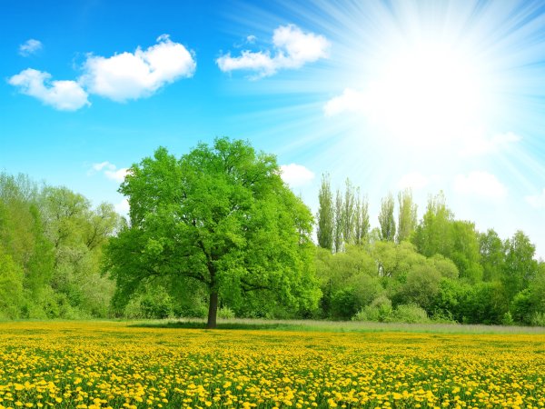 Природа солнце