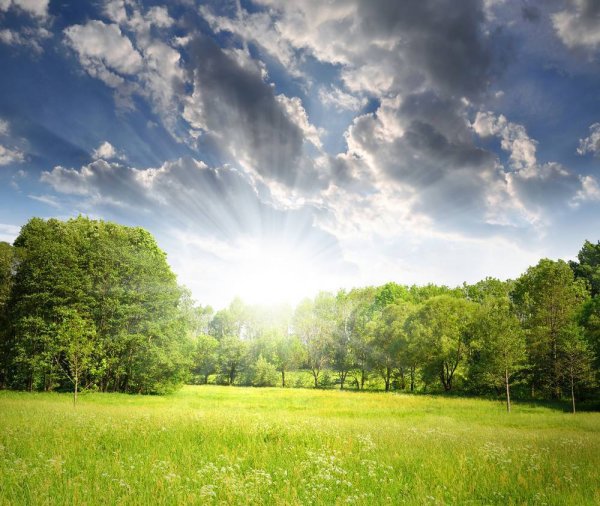 Природа солнце