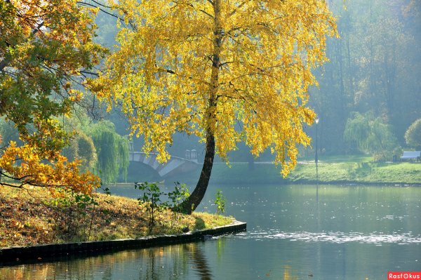 Конец сентября природа