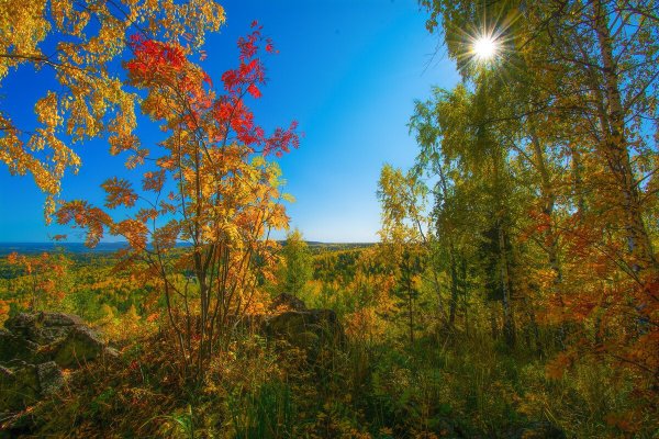 Солнечный осенний пейзаж