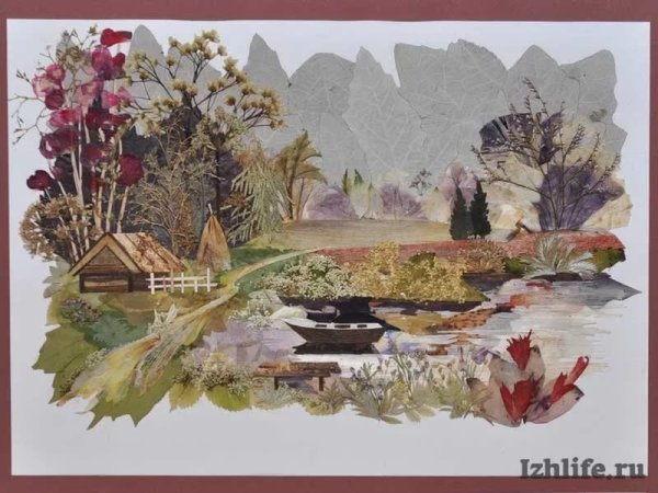 Осибана Пейзажная флористика