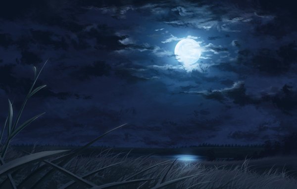 Ночь Луна