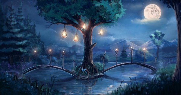 Сказочный лес ночью