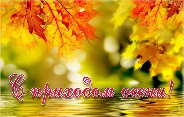 Красивый осенний натюрморт