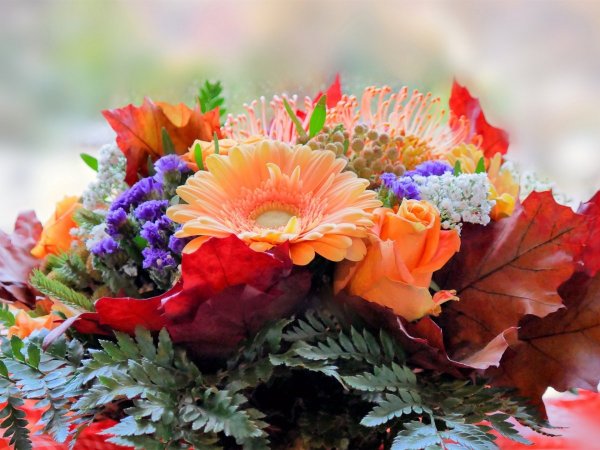 Рамка осень