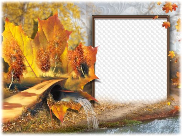 Художник Марина Захарова натюрморты