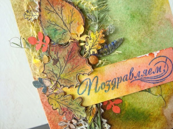 Картинки на рабочий стол осенние цветы