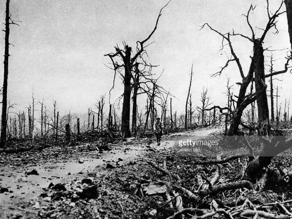 Первая мировая война Ничейная земля лес
