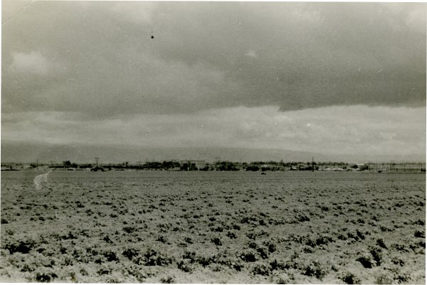 Лунный ландшафт первой мировой войны