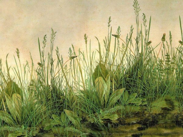 Альбрехт Дюрер «замок в Альпах»