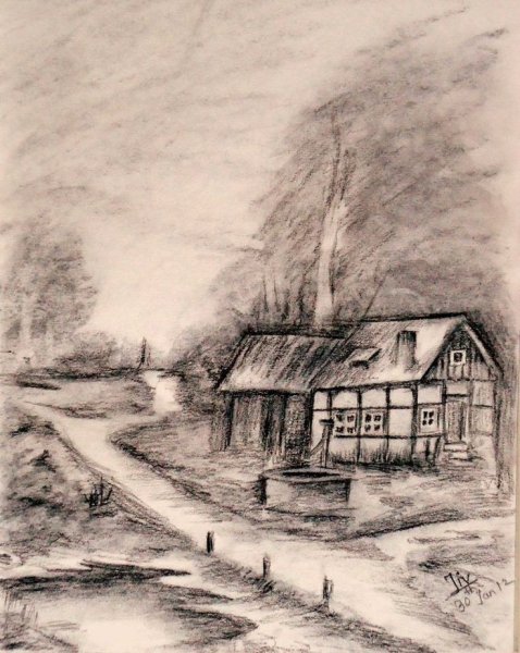 Зарисовки природы углем