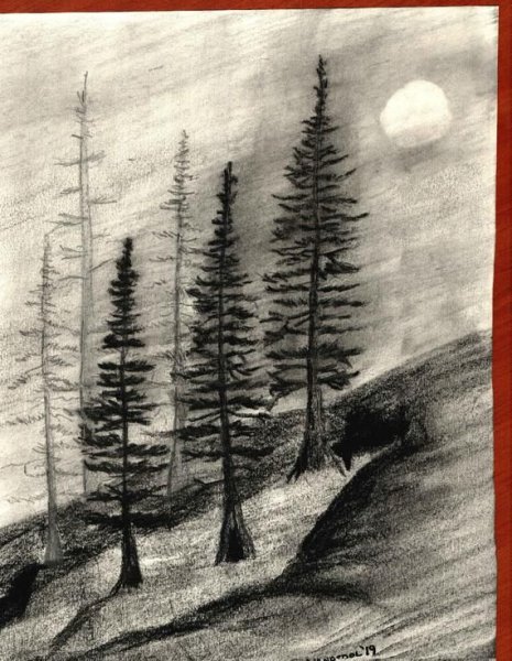 Пейзаж с домом углем