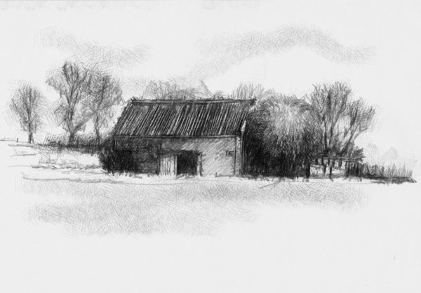 Зарисовки природы углем