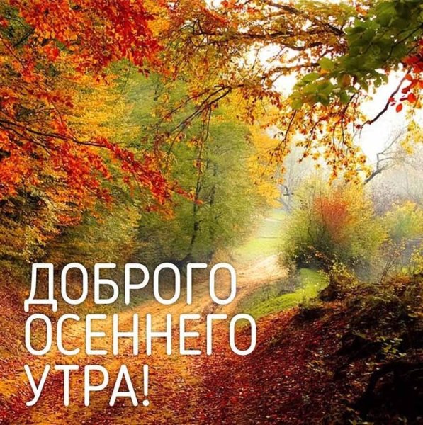 Доброе утро осеннее природа