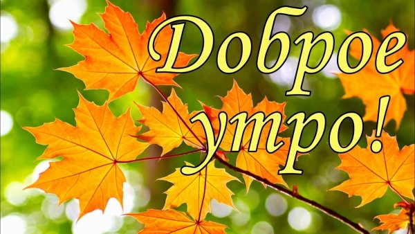 Картинки с добрым утром осенние