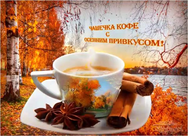 Доброе утро осень птички