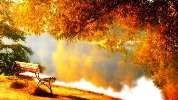 Доброе осеннее утро четверга