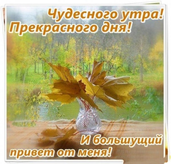 Доброго осеннего утра и хорошего дня
