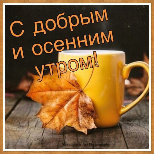Доброго осеннего дня