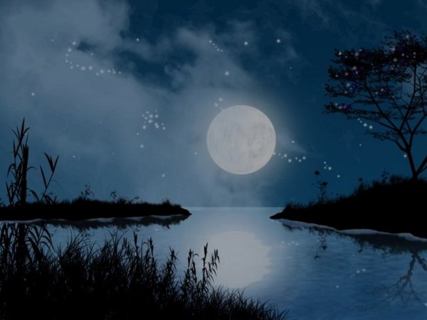 Лунный свет Дебюсси