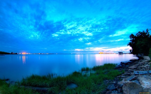 Иней на деревьях