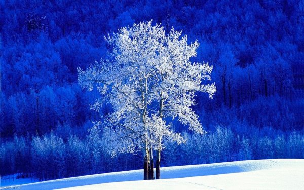 Водный пейзаж