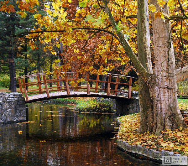 Осень парк пруд мостик