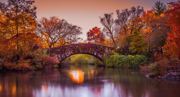 Центральный парк Нью Йорка каменный мост