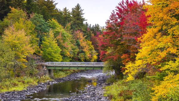 Осенний пейзаж с мостиком